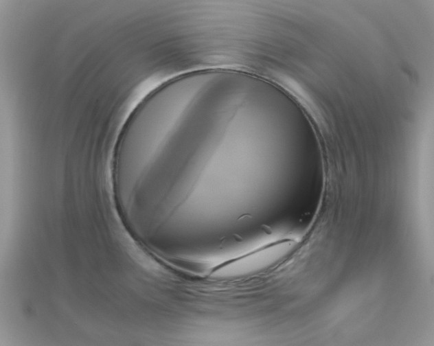 X0000110321291200906042036