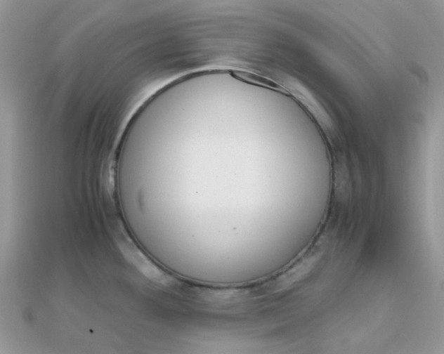 X0000110321292200906042036