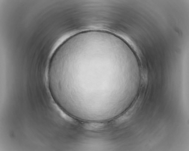 X0000110321294200906042036