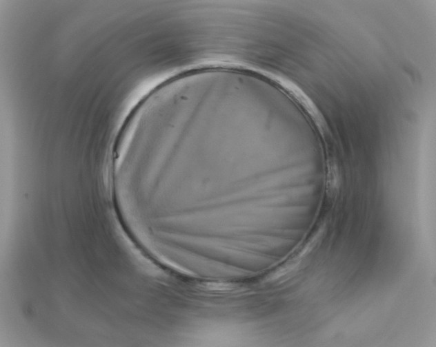 X0000110321295200906042036