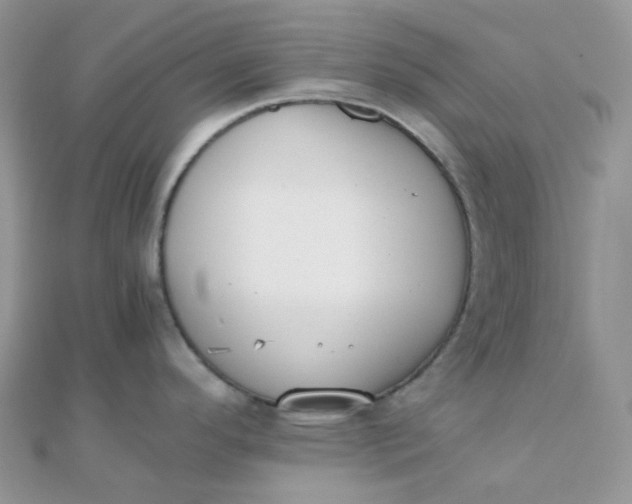 X0000110321296200906042036