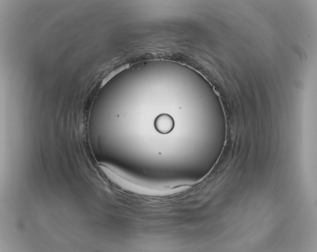 X0000110321298200906042035