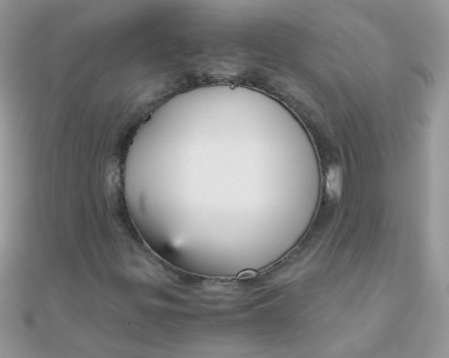 X0000110321299200906042035