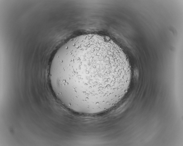 X0000110321300200906042035