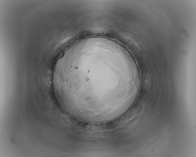 X0000110321301200906042035