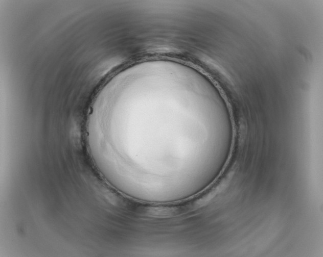 X0000110321305200906042035