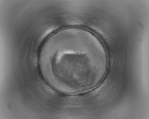 X0000110321306200906042035