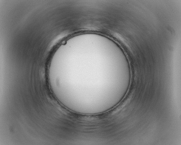 X0000110321307200906042035