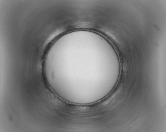 X0000110321309200906042035