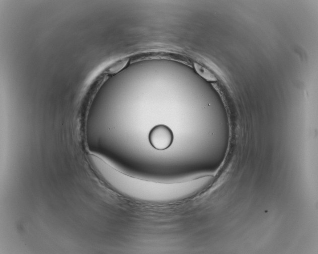 X0000110321310200906042035