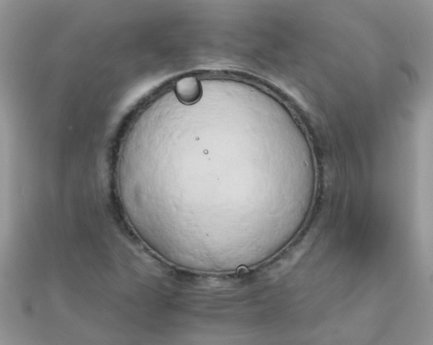 X0000110321311200906042035