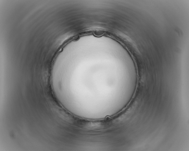 X0000110321313200906042035