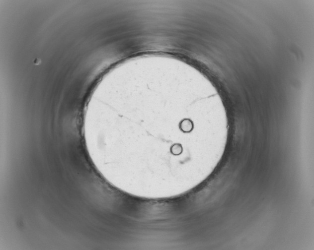 X0000110321314200906042035