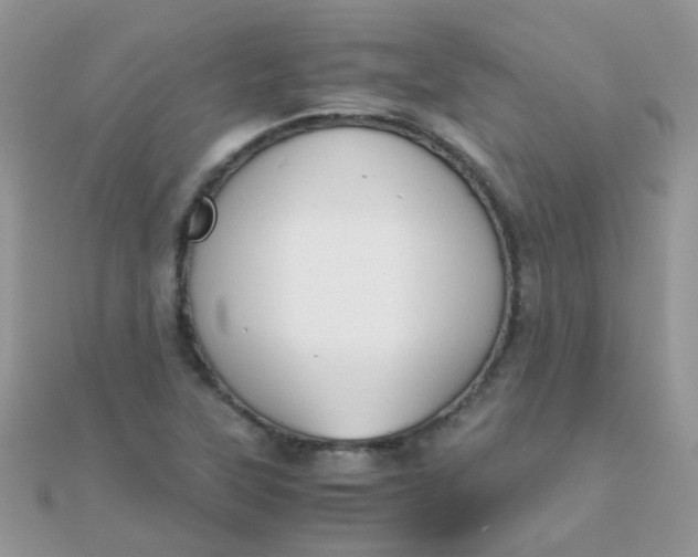 X0000110321315200906042035