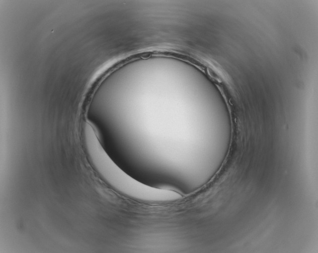 X0000110321316200906042035