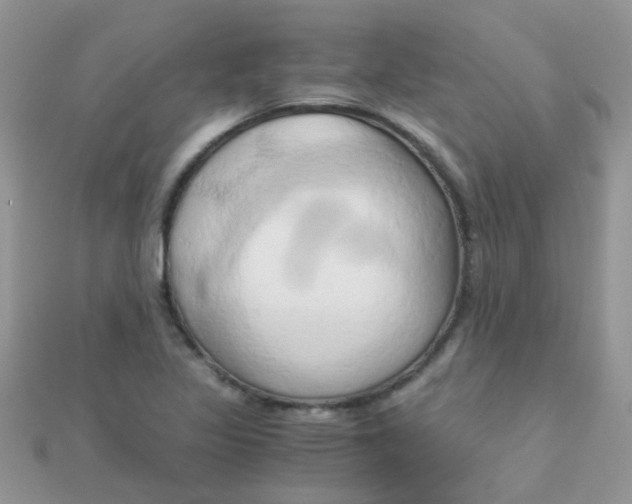 X0000110321317200906042035