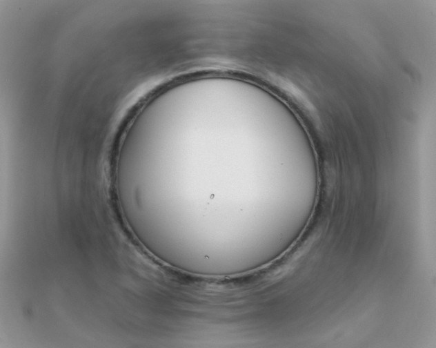 X0000110321318200906042035