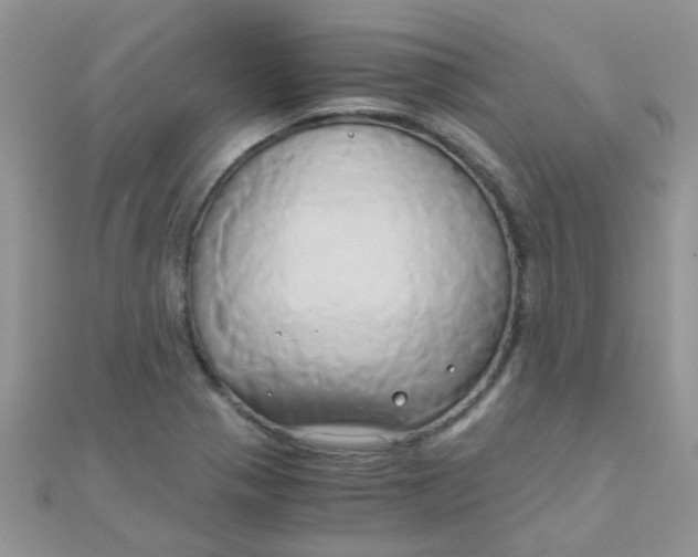 X0000110321321200906042035