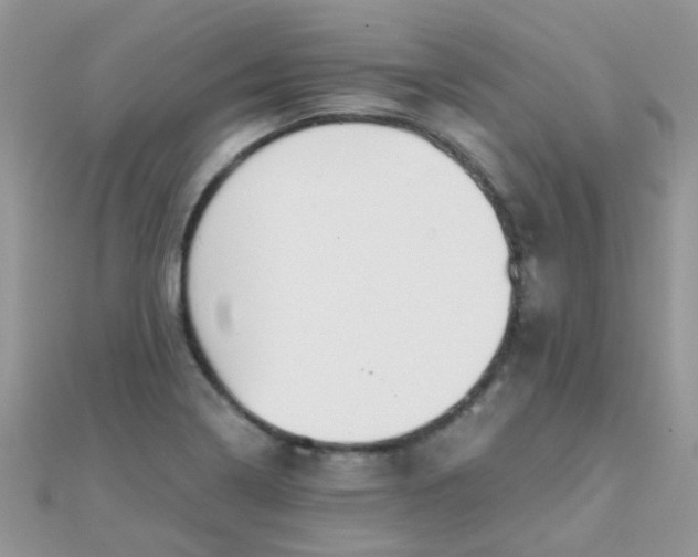 X0000110321322200906042035