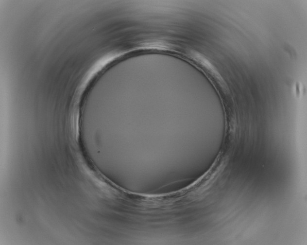 X0000110321323200906042035