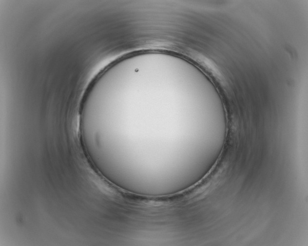 X0000110321324200906042035