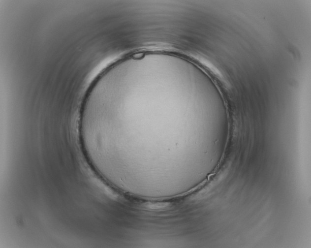 X0000110321325200906042035