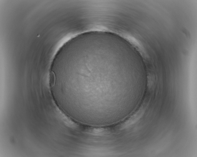 X0000110321326200906042035