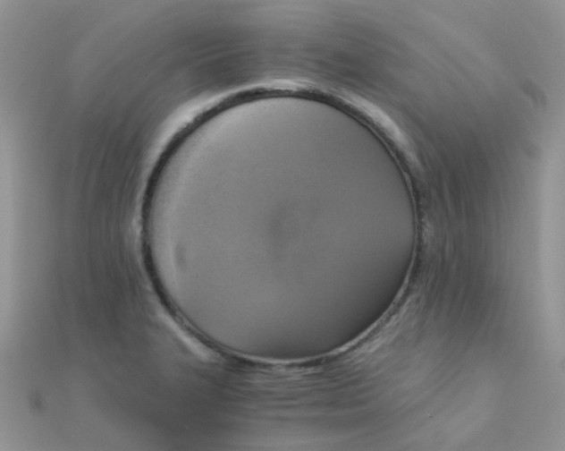 X0000110321327200906042035