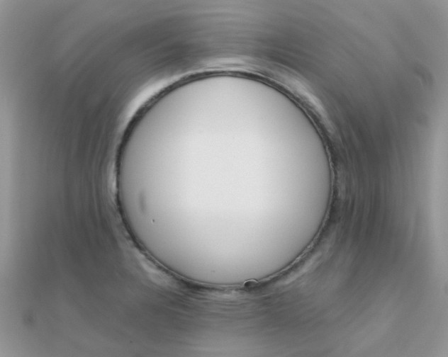 X0000110321328200906042035