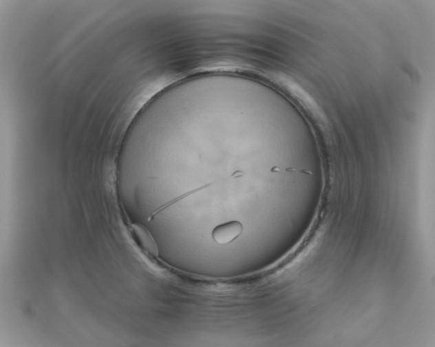 X0000110321329200906042035