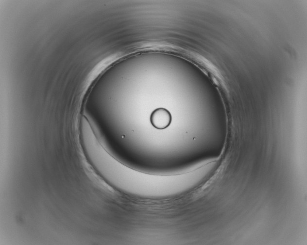 X0000110321330200906042035