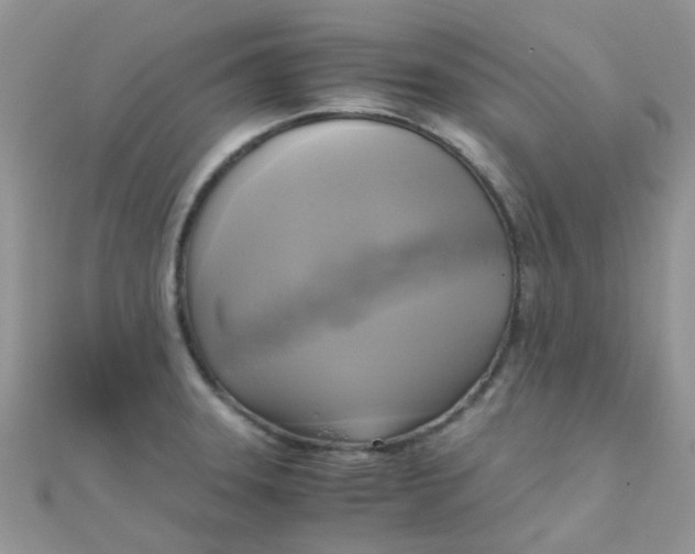 X0000110321331200906042036