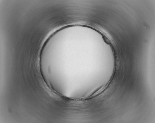 X0000110321332200906042036