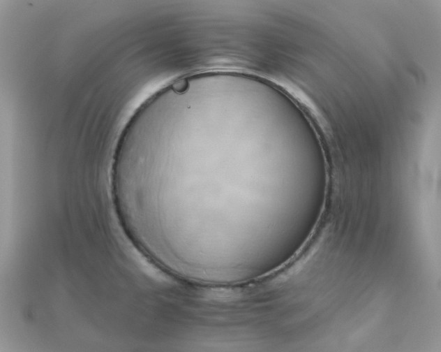 X0000110321333200906042036