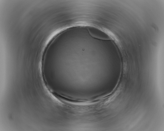 X0000110321334200906042036