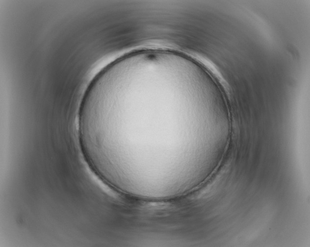 X0000110321335200906042036