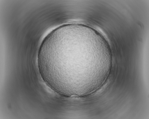 X0000110321336200906042036