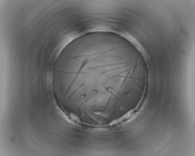 X0000110321337200906042036