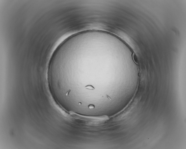 X0000110321339200906042036