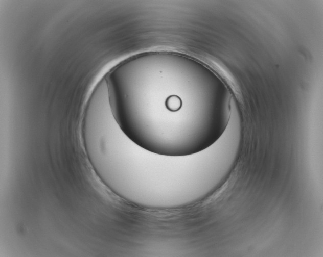 X0000110321340200906042036