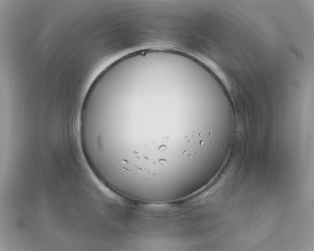 X0000110321343200906042036