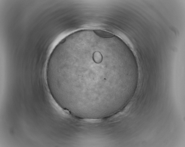 X0000110321344200906042036