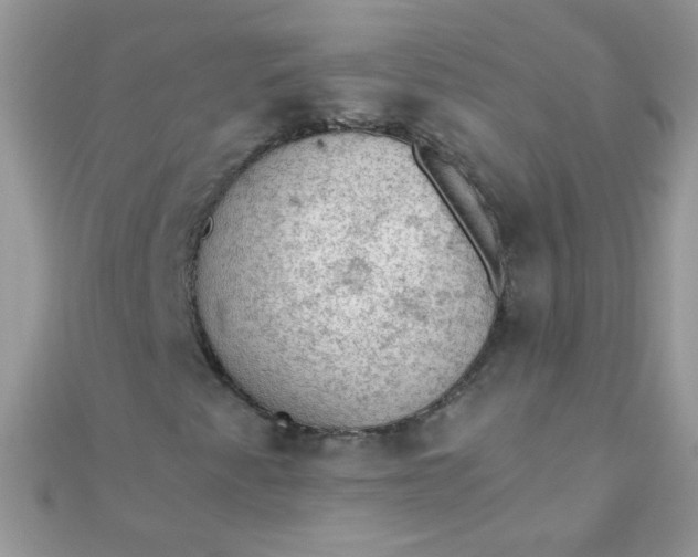 X0000110321345200906042035