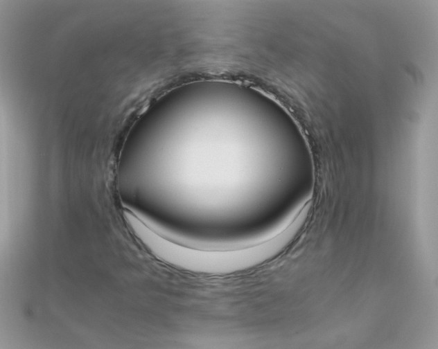 X0000110321349200906042035