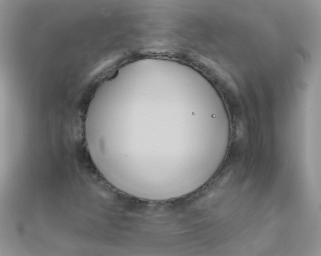 X0000110321350200906042035