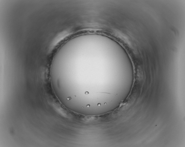 X0000110321352200906042035