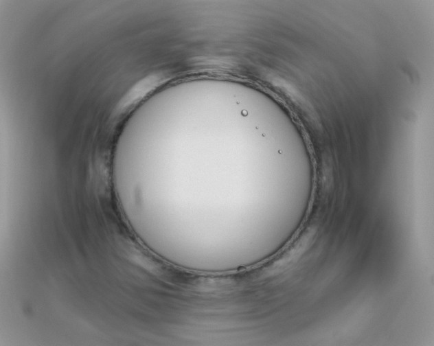 X0000110321354200906042035