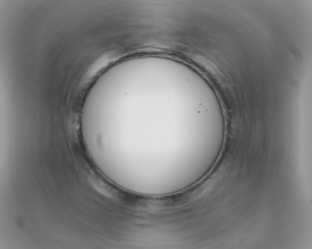 X0000110321355200906042035