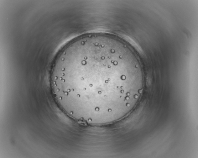 X0000110321356200906042035