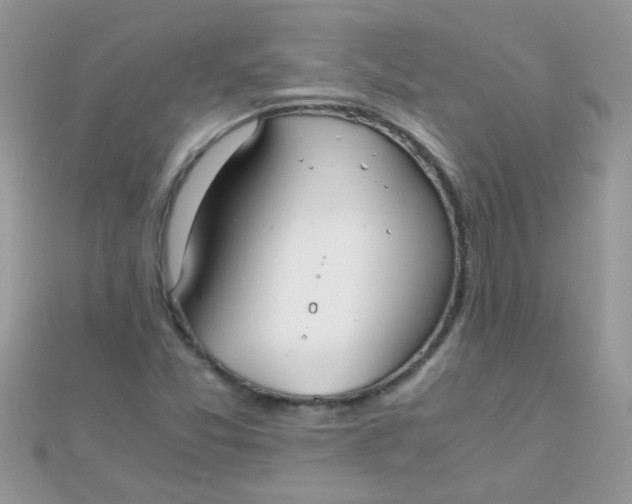 X0000110321357200906042035